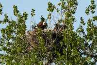 DSC_7656_edited