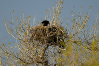DSC_5805_edited