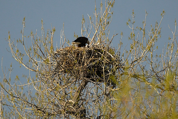 DSC_5805_edited