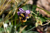DSC_0045_edited