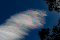 DSC_2448_edited-1