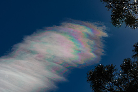 DSC_2448_edited-1