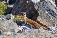 2024-09-01 - RMNP