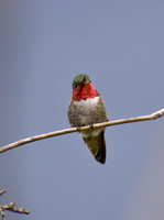 DSC_0348_edited