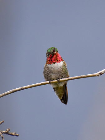 DSC_0348_edited