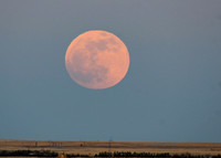 DSC_0434 - Penumbral Eclipse had begun_edited