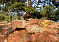 DSC_6688_edited
