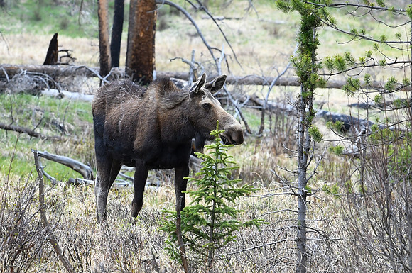 DSC_6766_edited