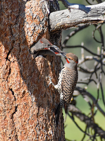 DSC_0429_edited