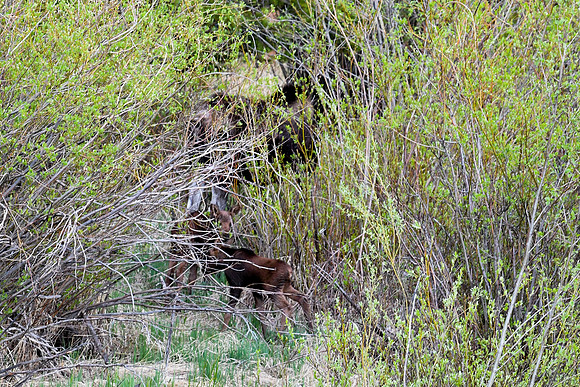 DSC_7744_edited