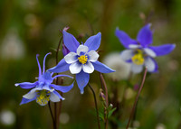 DSC_4852_edited