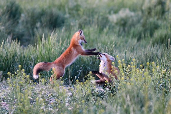 DSC_5759_edited