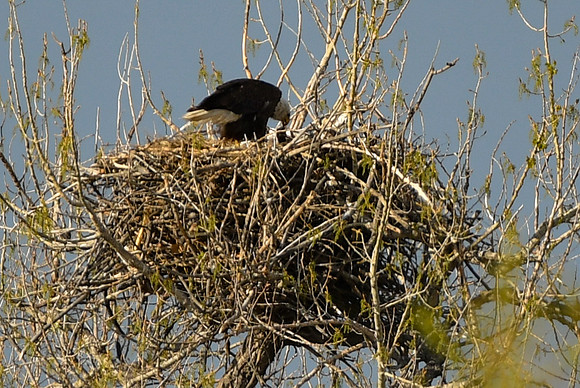 DSC_5805_edited-1