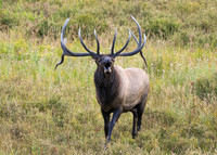 DSC_4702_edited_edited-5x7