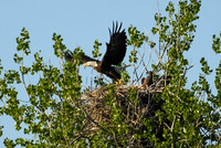DSC_7666_edited