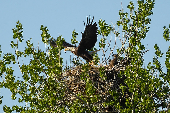 DSC_7666_edited