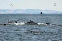 DSC_7699_edited