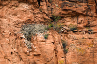 DSC_8169_edited