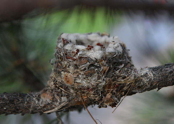 DSC_1347_edited