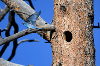 DSC_9178_edited