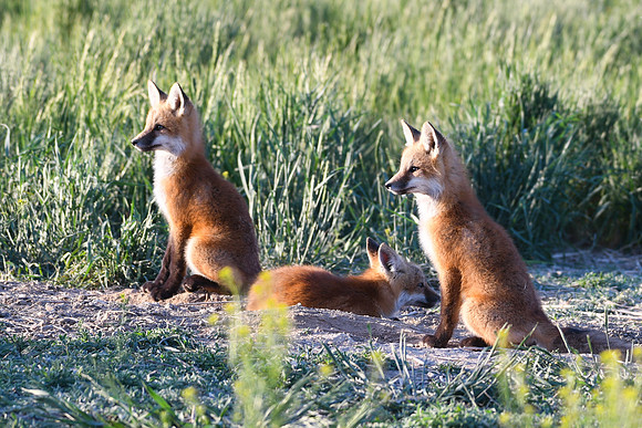 DSC_5301_edited