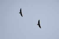 DSC_4040_edited
