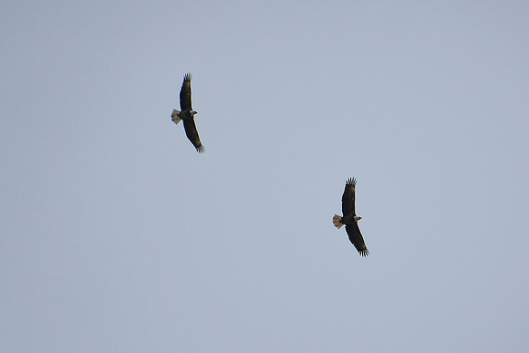 DSC_4040_edited