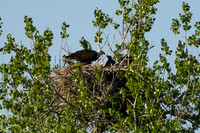 DSC_7646_edited