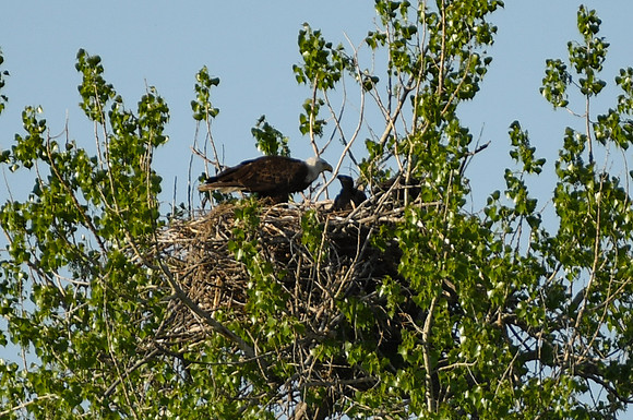 DSC_7646_edited