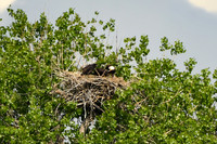 DSC_8275_edited