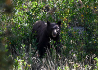 DSC_4499_edited-5x7