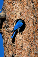 DSC_9058_edited-vert