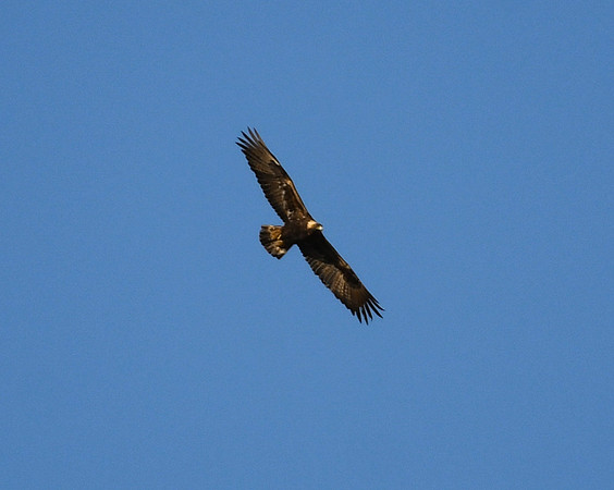 DSC_5557_edited_edited