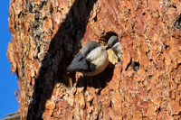 DSC_0116_edited