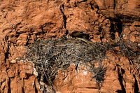 DSC_6349_edited