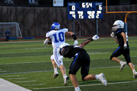 DSC_4471_edited - Touchdown Eagles!!!!
