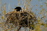 DSC_5806_edited-1