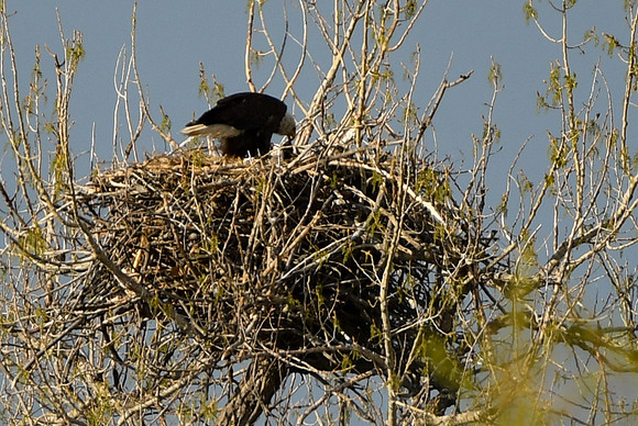 DSC_5806_edited-1