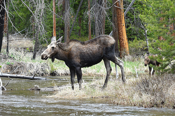 DSC_6804_edited