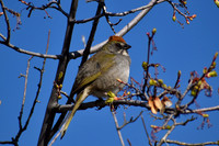 DSC_0045_edited
