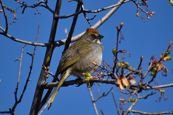 DSC_0045_edited