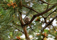 DSC_1342_edited