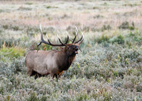 DSC_5495_edited