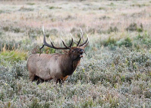 DSC_5495_edited