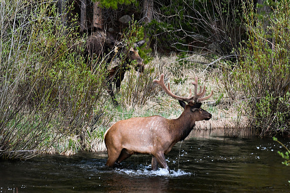 DSC_7759_edited