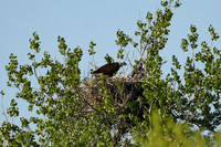 DSC_7619_edited