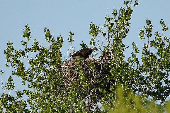 DSC_7619_edited