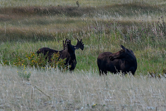 DSC_5259_edited