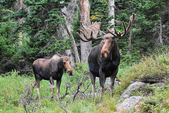 DSC_0373_edited - MK