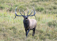 DSC_4702_edited-1